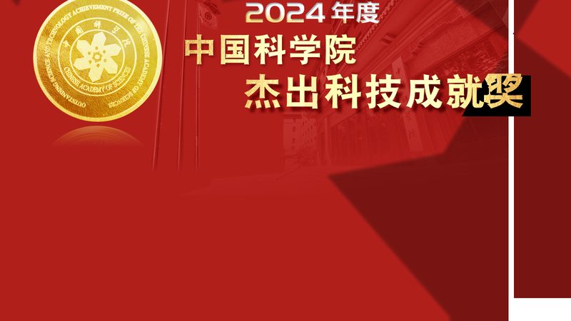 上海信息化建设项目管理流程解析**